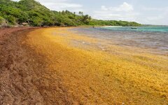 океан_загрязнение