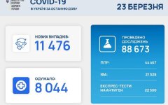 Статистика по коронавирусу на 23 марта