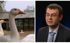 Гетьманців та гуси, святослав дубина, російський світ