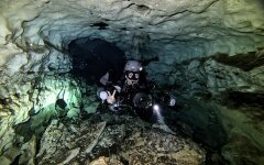 зубы акулы4