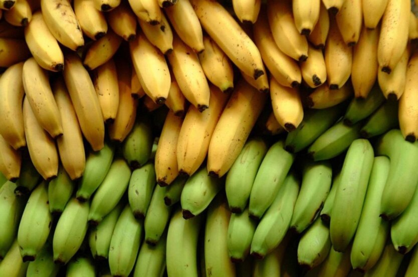 Супермаркеты снизили цены на апельсины, бананы и лимоны