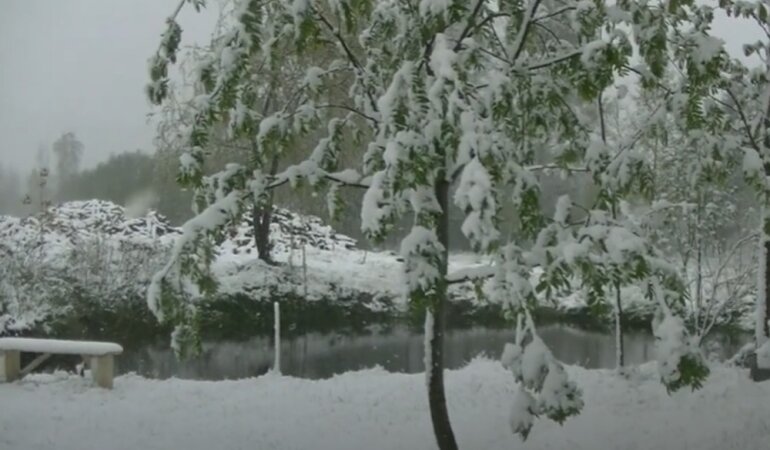 Снег в Карпатах