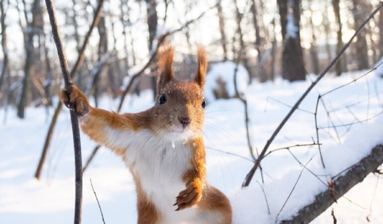 Погода в Украине, прогноз погоды, дожди и ветер