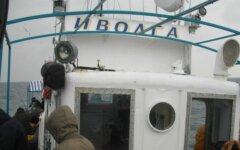 Иволга