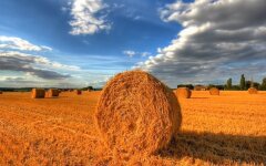 Погода в Україні, погода в Києві, прогноз погоди