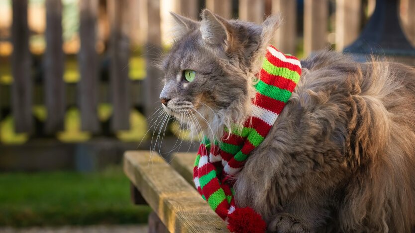 Прогноз погоды в Украине / Фото: Unsplash