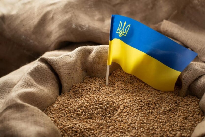 Импорт украинского зерна / Фото: Depositphotos
