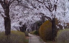 Погода в Украине, погода в Киеве, прогноз погоды