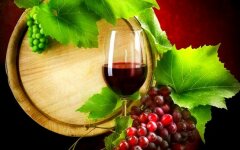 вино виноград