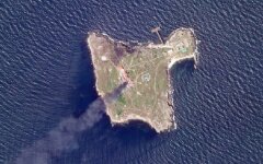 Остров Змеиный (Украина), иллюстративное фото