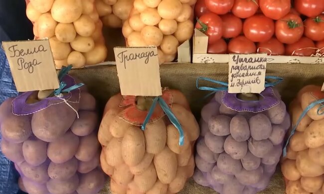 Картофель в Украине, импорт картофеля, украинские супермаркеты