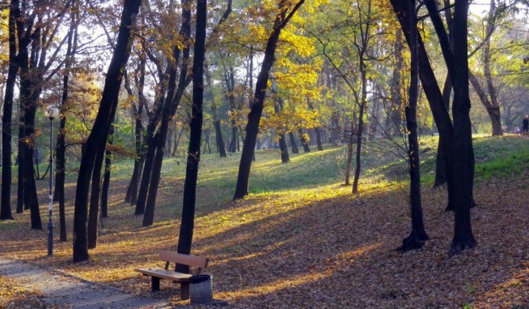 парк КПИ