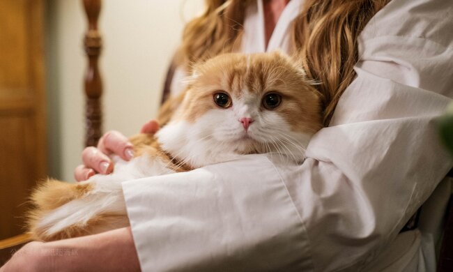 Прогноз погоды в Украине / Фото: Unsplash