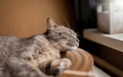 Прогноз погоди в Україні / Фото: freepik.com