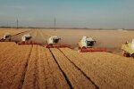 Збирання врожаю, експорт зерна з України