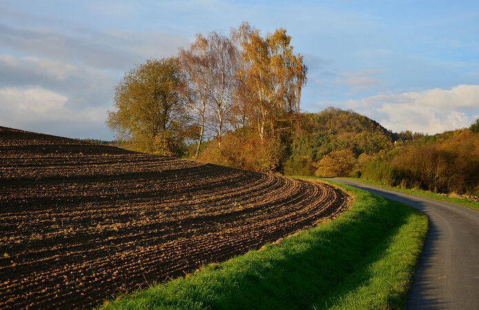 земельная реформа