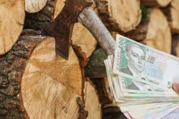 Помощь на отопление / Фото: Getty Images