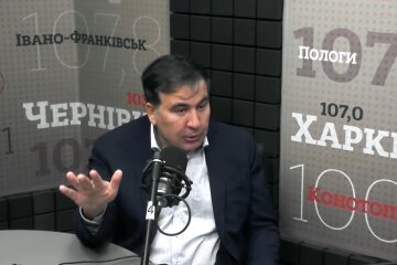 Михаил Саакашвили, экономический паспорт, Михеил Саакашвили