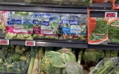 Ціни на молоду капусту