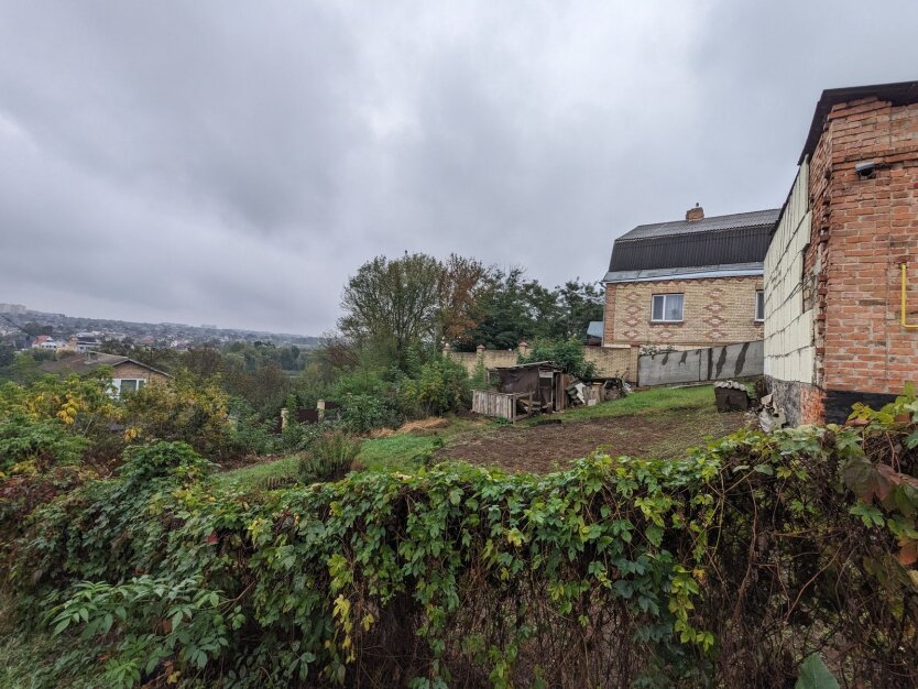 Висаджування дерев / Фото: prometei.ua