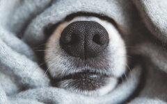 Прогноз погоди в Україні / Фото: Shutterstock