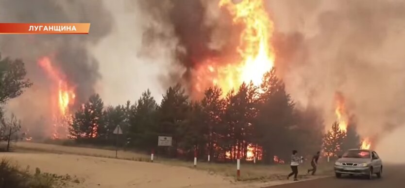 Пожары в Луганской и Харьковской областях, причина возгорани, Владимир Зеленский