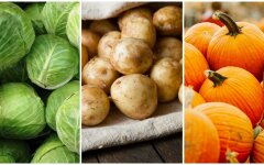 Дешевше 5 гривень: Ашан, Сільпо, АТБ та інші оновили ціни на капусту, картопля та гарбуз