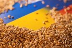 Вывоз Россией украинского зерна