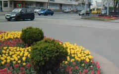 Весна в Киеве, погода в Украине, прогноз погоды
