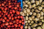 Помідори та картопля