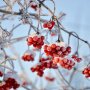 Прогноз погоды в Украине / Фото: pixabay