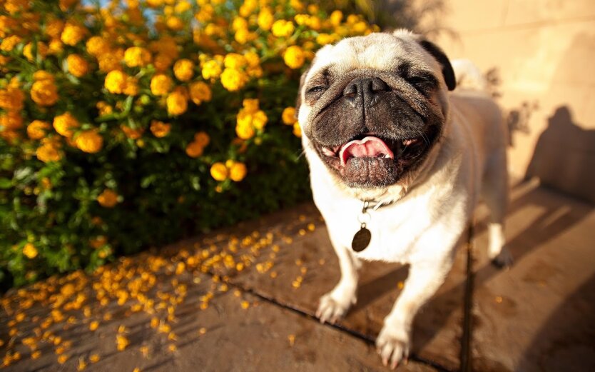 Прогноз погоды в Украине