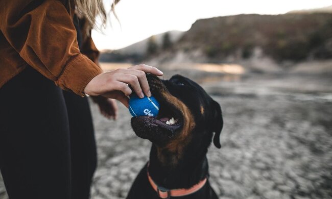 Прогноз погоди в Україні / Фото: Unsplash