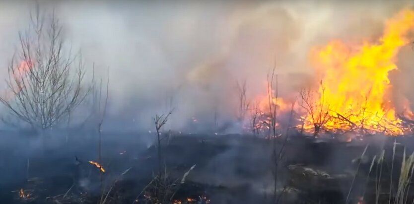 штраф за разведение огня,пожар в лесу,пожар в зоне отчуждения,штраф за сжигание травы