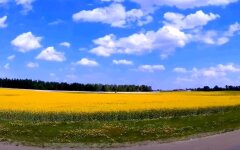 Погода в Украине