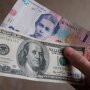 Валютные ограничения в Украине / Фото: Виталий Носач, РБК-Украина