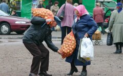 Ціни на цибулю в Україні