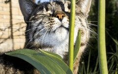 Прогноз погоди в Україні