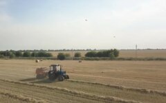 Земля в Украине, сколько стоит продать пай, рынок земли в Украине