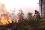 Пожары в лесах России, лесные пожары, РФ, Югра, тюмень