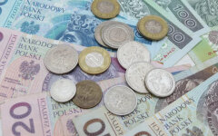 Польский злотый