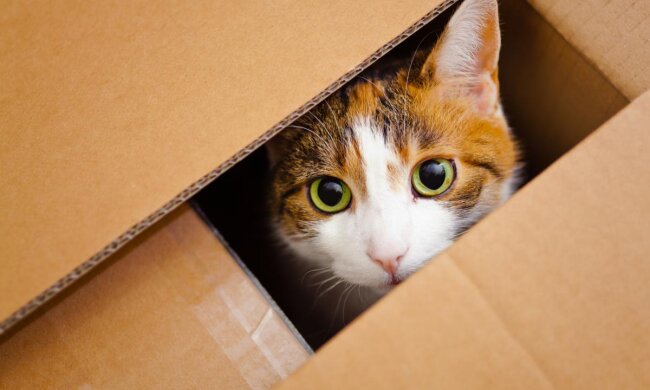 Прогноз погоды в Украине / Фото: depositphotos.com/