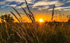 Прогноз погоди в Україні / Фото: pixabay.com