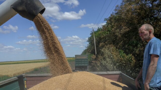 Зерно в Украине, АПК