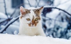 Прогноз погоды в Украине / Фото Depositphotos