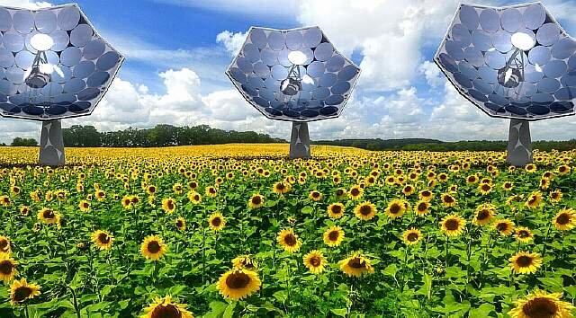 4-ibm-solar-sunflower