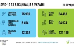 Статистика по коронавирусу на 29 декабря, коронавирус в Украине