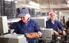 Робота у Польщі / Фото: gettyimages.com