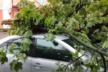 Ураган в Полтавской области