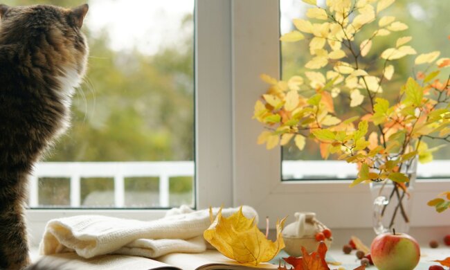 Прогноз погоды в Украине